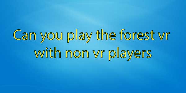 Can you play the forest vr with non vr players