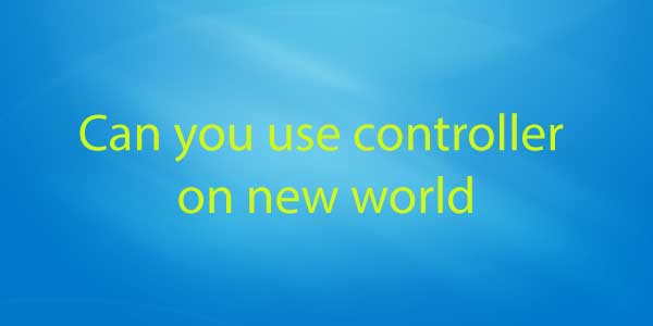 Can you use controller on new world